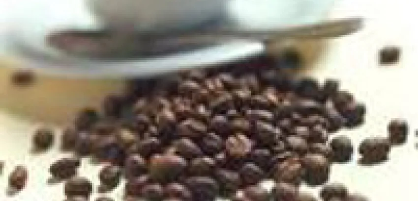 El café no ayuda a despertarse como se cree popularmente El café no ayuda a despertarse como se cree popularmente