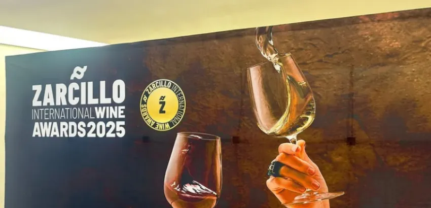 Castilla y León arrasa en los Premios Zarcillo 2025 con más del 55 % de los galardones Castilla y León arrasa en los Premios Zarcillo 2025 con más del 55 % de los galardones