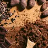 chocolates del bienestar