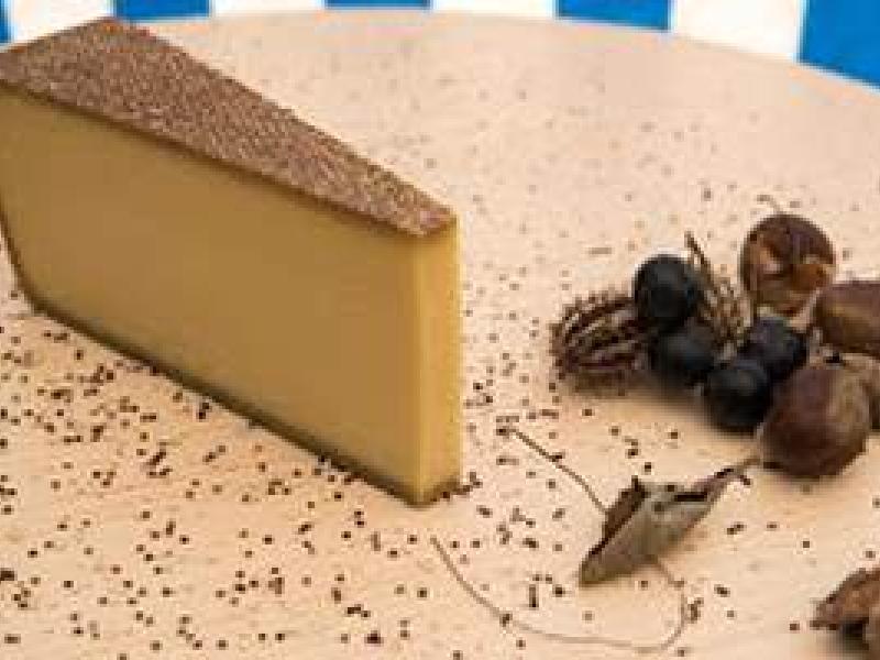 Un Gruyère d’alpage AOP, ganador de los Swiss Cheese Awards 2016
