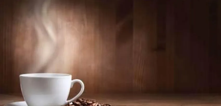 El Geisha, la taza de un buen café El Geisha, la taza de un buen café