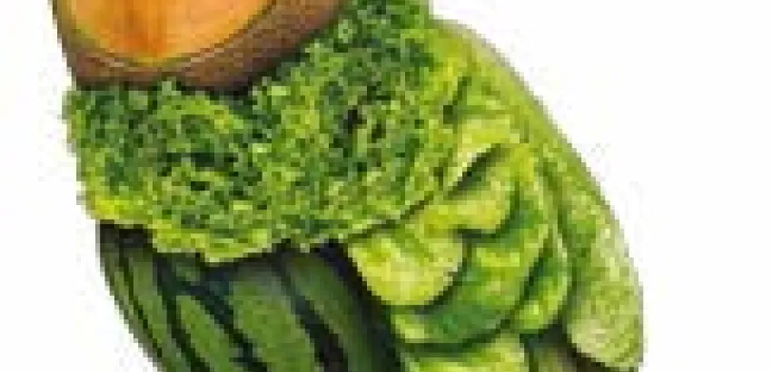 Garnish Arte y Alimentación