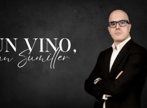 Un Vino, Un Sumiller: La Viña Escondida 2020 por Alberto Fernández Bombín