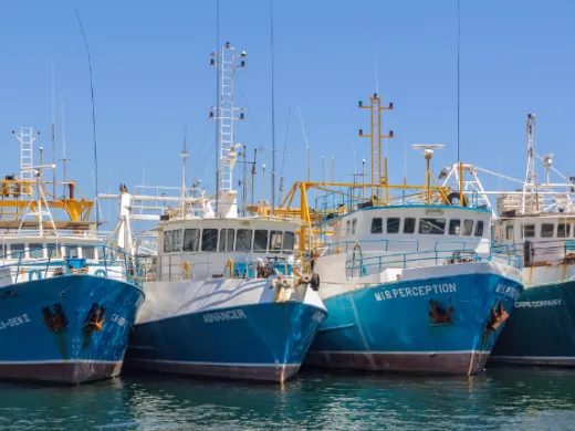 Crisis de pesca en Galicia