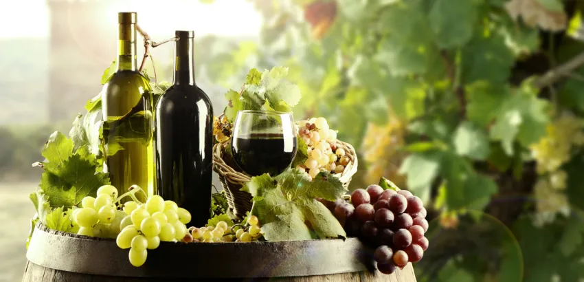 vino ecologico