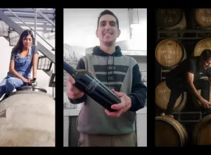 Vinos argentinos