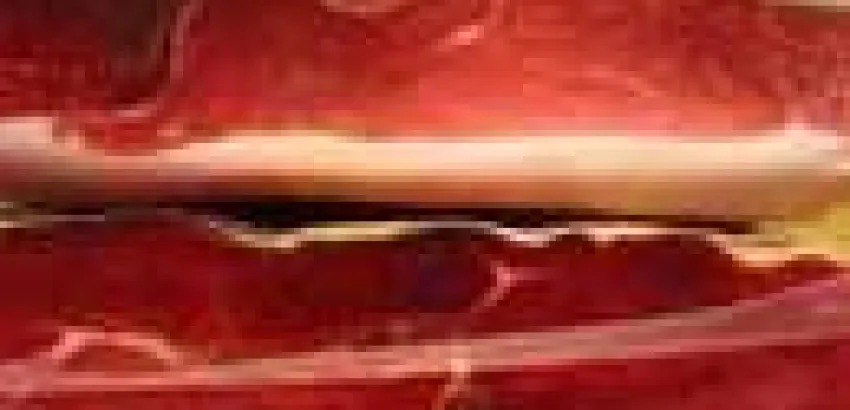 España: Rotundo éxito de las degustaciones gratuitas de jamón ibérico en Paradores España: Rotundo éxito de las degustaciones gratuitas de jamón ibérico en Paradores