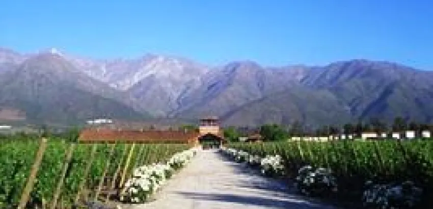 El Valle Central de Chile, un paraíso enoturístico El Valle Central de Chile, un paraíso enoturístico