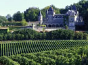 Aprendiendo sobre los vinos de Fronsac