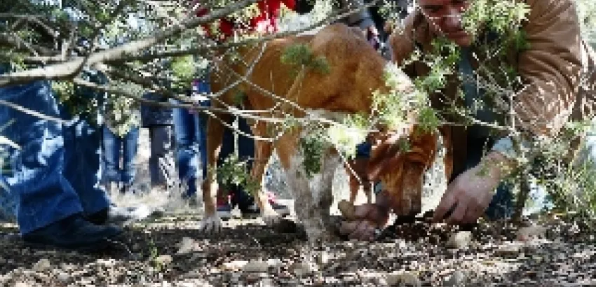 Un gran encuentro amparado por Viñas del Vero Un gran encuentro amparado por Viñas del Vero