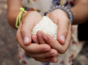 significado cultural de los alimentos