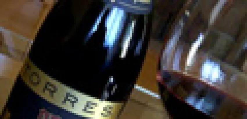 Miguel Torres lanza en China la cadena Everwines Miguel Torres lanza en China la cadena Everwines