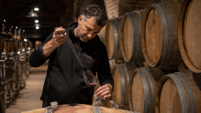 Bodeguero extrayendo vino tinto de una barrica en una bodega con filas de toneles