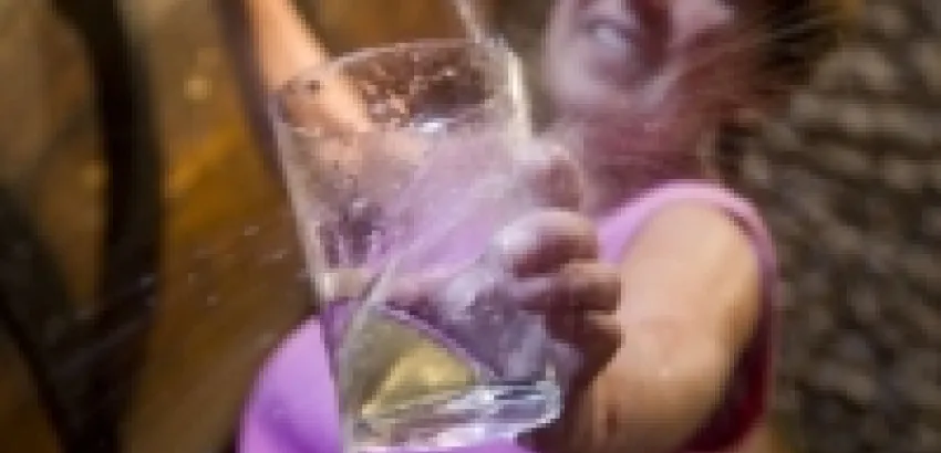 Navarra disfruta de la primera sidra de temporada Navarra disfruta de la primera sidra de temporada