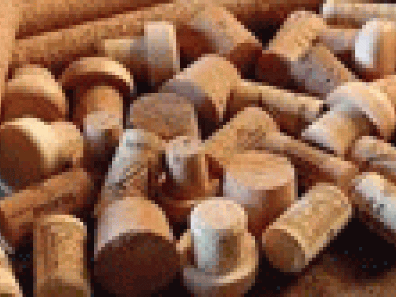 ¿El tapón de corcho para el vino puede morir?