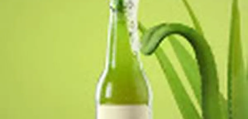 Beauty Aloe beer: la cerveza artesana que vence el miedo a lo diferente Beauty Aloe beer: la cerveza artesana que vence el miedo a lo diferente