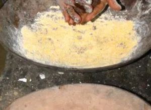 La cadena de valor del cacao y el chocolate