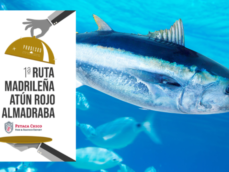 atún rojo