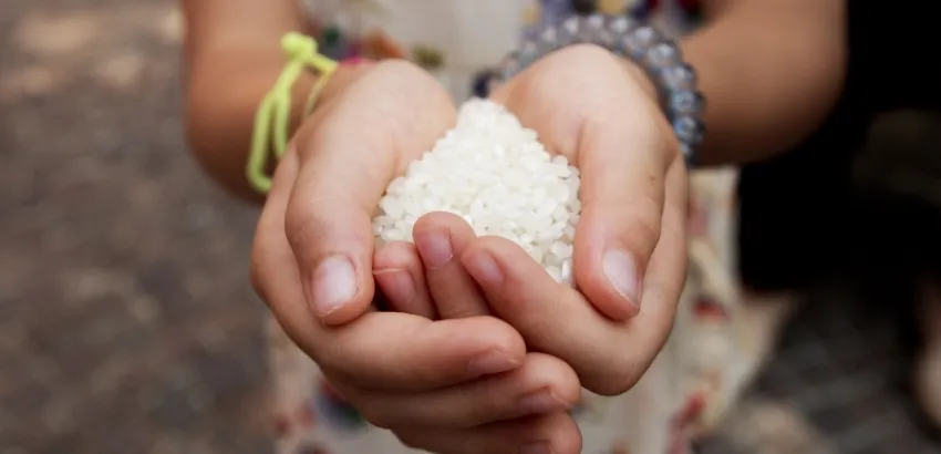 significado cultural de los alimentos
