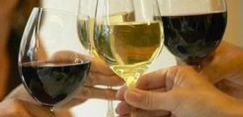 Nuevos retos en el sector de elaboración y venta especializada de vinos en España Nuevos retos en el sector de elaboración y venta especializada de vinos en España