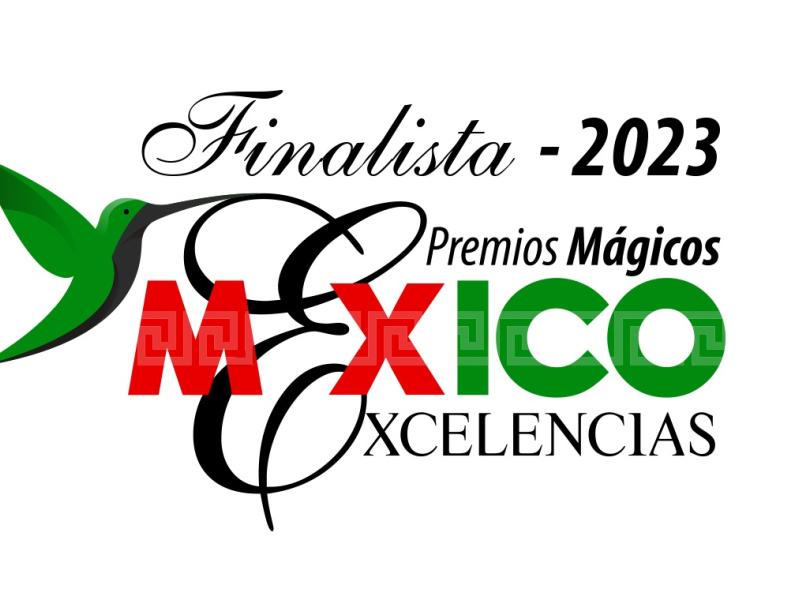 Premios Mágicos por Excelencias