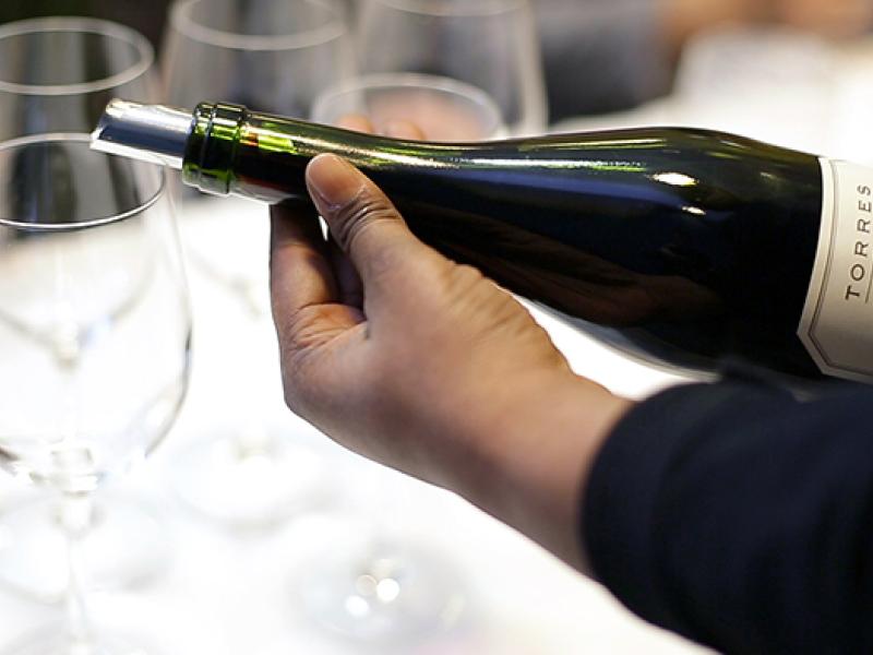 Bodegas Torres experimenta con variedades ancestrales de gran interés enológico 