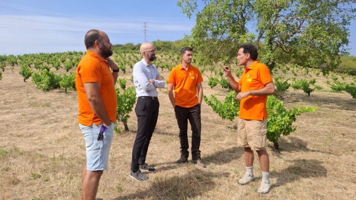 Participantes del Programa CULTIVA conversan en un viñedo de El Bierzo durante una jornada de formación práctica en viticultura.