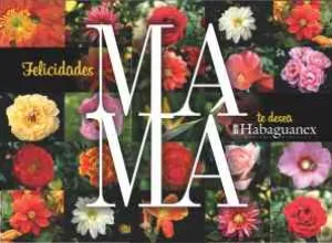 La Compañía Turística Habaguanex S.A. lo invita a celebrar el Día de las Madres 
