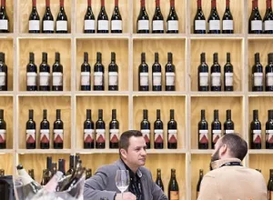 El sector del vino ecológico apuesta por la agricultura orgánica, el enoturismo y la internacionalización