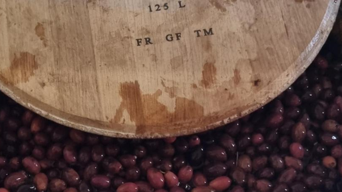 Aceitunas en proceso de fermentación dentro de una barrica de madera, imagen que ilustra una innovadora técnica inspirada en la crianza del vino aplicada al mundo de la aceituna gourmet.