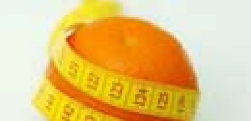 Alimentos para quemar calorías Alimentos para quemar calorías