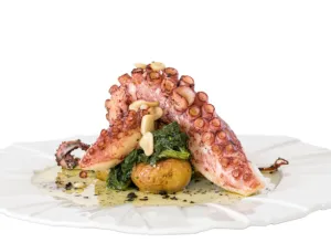 pulpo cocina del mar 