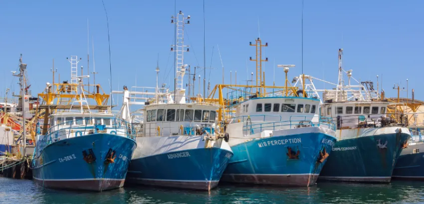 Crisis de pesca en Galicia Crisis de pesca en Galicia