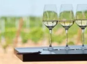 Semana Santa en la Ruta del Vino de Rueda: pasión para los sentidos