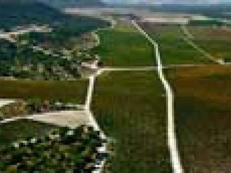 Ribera del Duero: El Burdeos Español