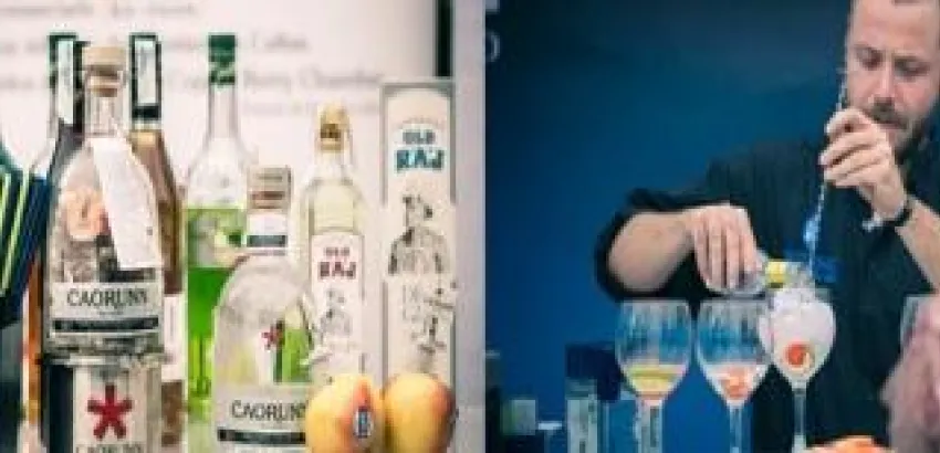 Gin Show en Barcelona Gin Show en Barcelona