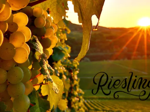 riesling