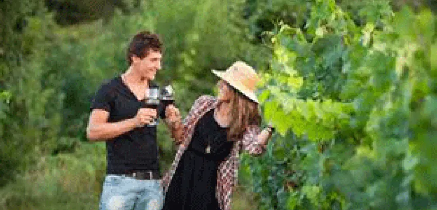Roses: el`Must que hará que escapes hasta su Ruta del Vino Do Empordà Roses: el`Must que hará que escapes hasta su Ruta del Vino Do Empordà
