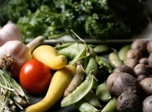 La Comisión Europea quiere construir una cadena de suministros alimentarios más justa