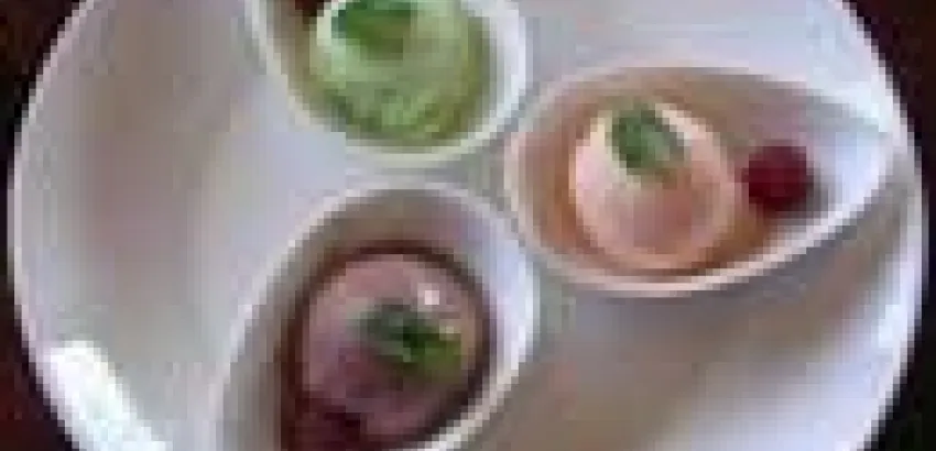 Helados de vino con denominación de origen llaman la atención en España Helados de vino con denominación de origen llaman la atención en España