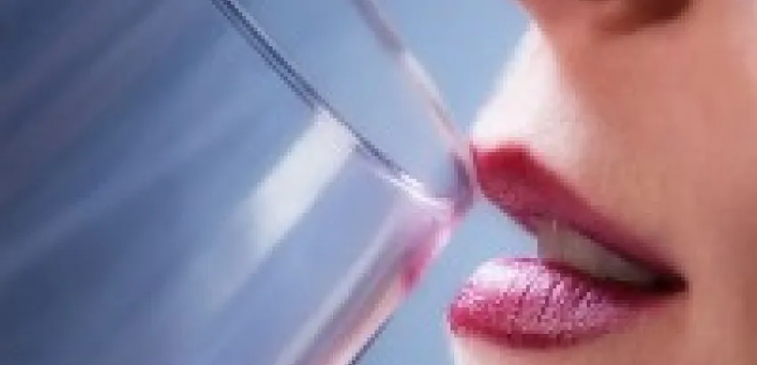España: Convocan a nueva edición del concurso Vino y Mujer