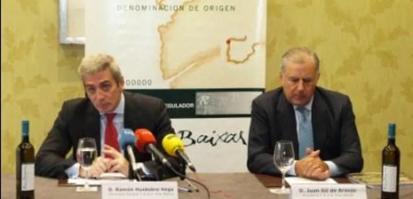 Más de 70 marcas y 21 bodegas protagonizaron una presentación de los vinos de Rías Baixas en Oviedo Más de 70 marcas y 21 bodegas protagonizaron una presentación de los vinos de Rías Baixas en Oviedo