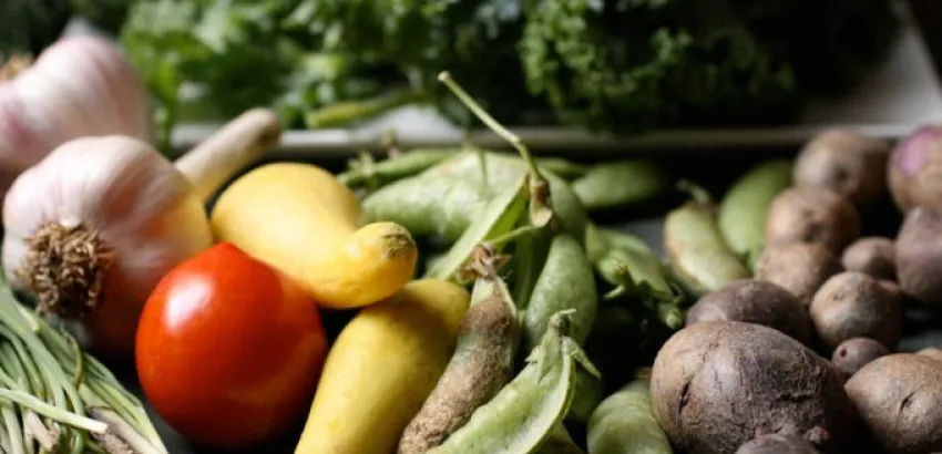 La Comisión Europea quiere construir una cadena de suministros alimentarios más justa La Comisión Europea quiere construir una cadena de suministros alimentarios más justa
