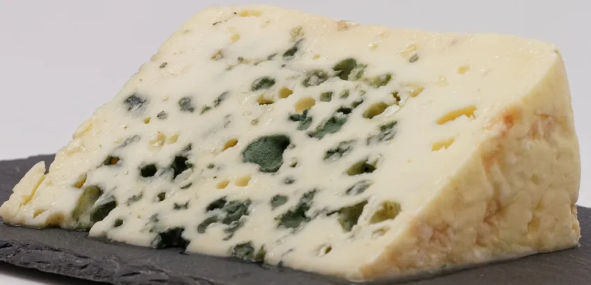 Queso Roquefort