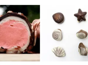 chocolate