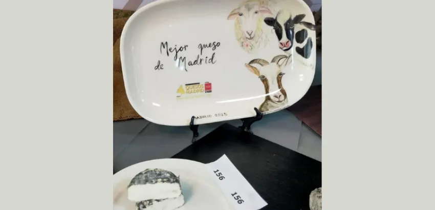 mejor queso de madrid mejor queso de madrid 2025