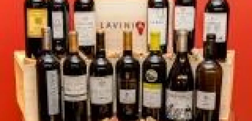 LAVINIA reúne a once prestigiosos bodegueros para presentar un concepto pionero de venta de vino LAVINIA reúne a once prestigiosos bodegueros para presentar un concepto pionero de venta de vino