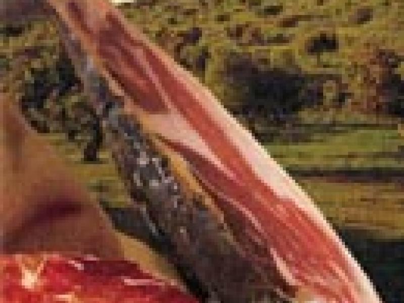 La cocina de Badajoz
