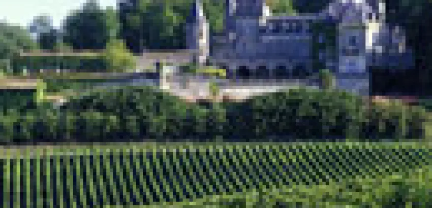 Aprendiendo sobre los vinos de Fronsac Aprendiendo sobre los vinos de Fronsac