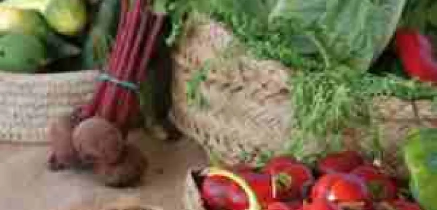 Descubre la gastronomía ibicenca Descubre la gastronomía ibicenca